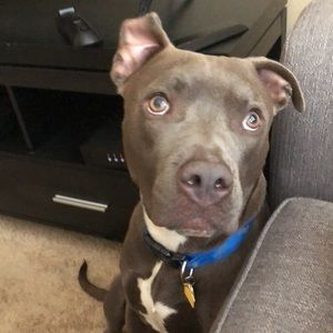 Meet your Posher, Derek